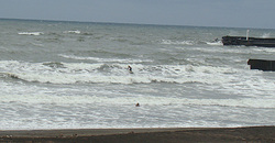111108taito1.jpg