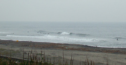 111118eagle1.jpg