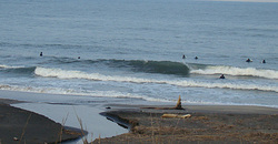 111123pm-eagle-1.jpg