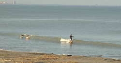 111124pm-eagle1.jpg