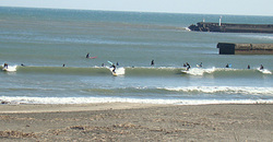 111124taito2.jpg