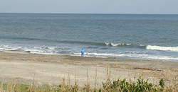 111126eagle.jpg