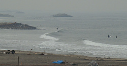 111128eagle1.jpg