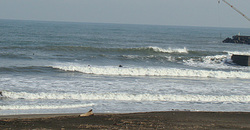 111207taito1.jpg