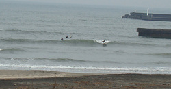 111214taito1.jpg