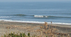 111215eagle1.jpg