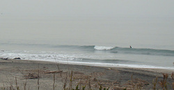 111222eagle1.jpg