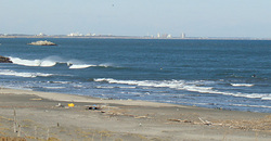 111227eagle1.jpg