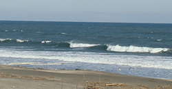 111228eagle1.jpg