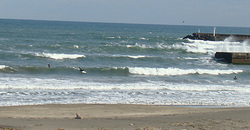 111228taito1.jpg