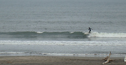 120101pm-taito1.jpg