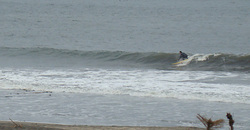 120101pm-taito2.jpg
