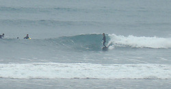 120206taito1.jpg