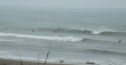120207am-1040eagle.jpg