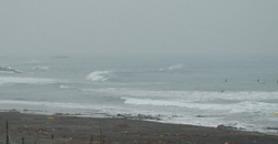 120207pm-eagle2.jpg