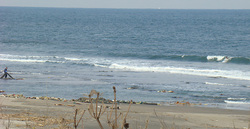 120213noon-eagle3.jpg