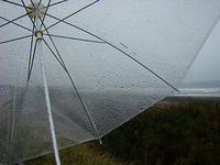 120214pm-rain.jpg