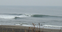 120215eagle1.jpg