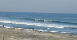 120221eagle1.jpg