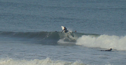 120223pm-eagle2.jpg