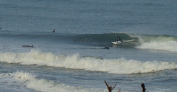 120223pm-eagle7.jpg