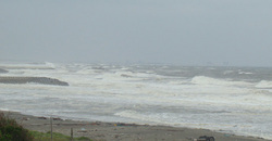120613eagle1.jpg