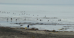 120617eagle1.jpg