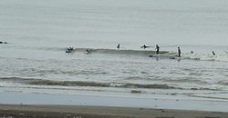120617taito1.jpg