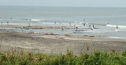 120618eagle1.jpg