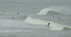 120620pm-eagle2.jpg