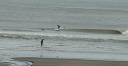 120620taito1.jpg
