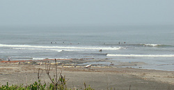 120703eagle1.jpg