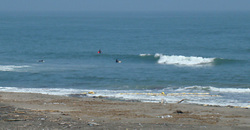 120709eagle-1.jpg