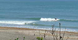 120711eagle1.jpg
