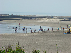 120719taito1.jpg