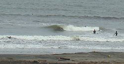 120721taito1.jpg