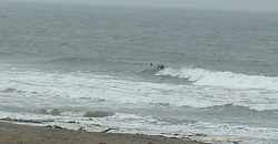 120722eagle1.jpg
