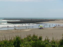 120801taito1a.jpg