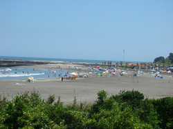 120807taito2.jpg