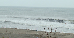 120811eagle1.jpg