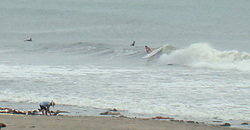 120811eagle2.jpg