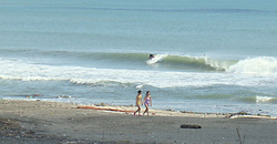 120813eagle1.jpg