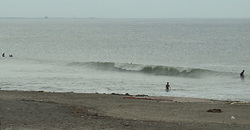 120814eagle1.jpg