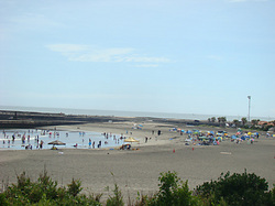 120816taito1.jpg