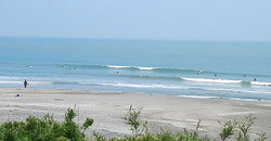 1240528noon-eagle1.jpg