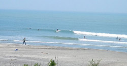 1240528noon-eagle2.jpg