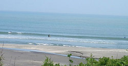 1240528noon-eagle3.jpg