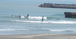 1240528noon-taito1.jpg