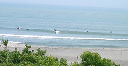 1240528noon-taito2.jpg