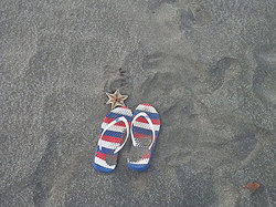 1240528pm-beach2.jpg